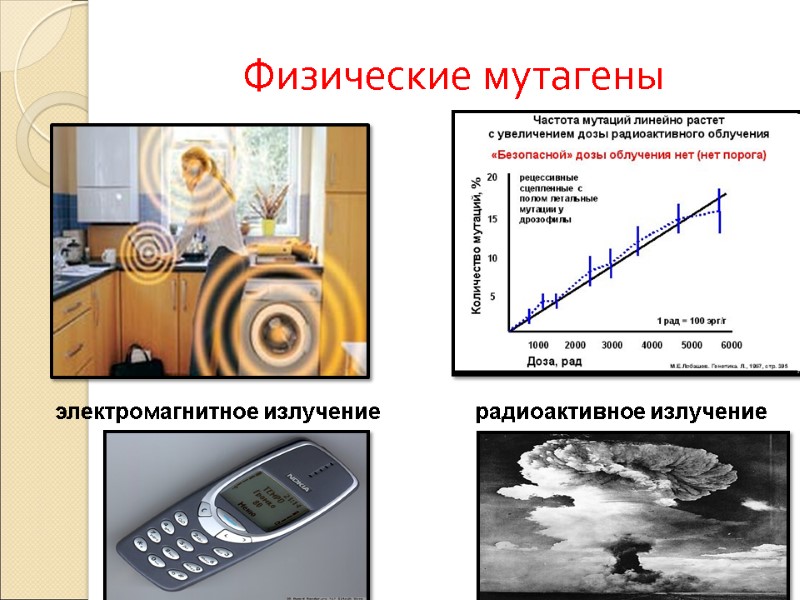 Физические мутагены электромагнитное излучение радиоактивное излучение
